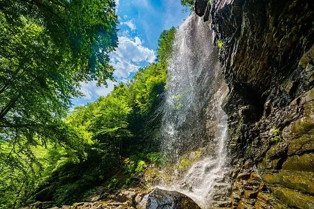 lehigh gorge state park 